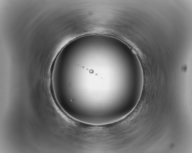 X0000099431479200805161058