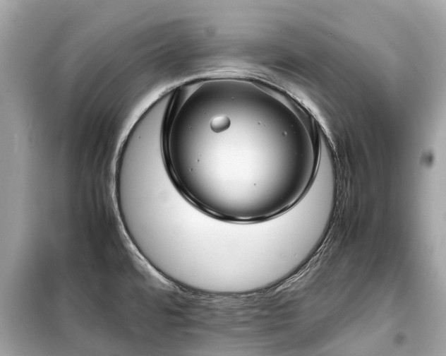 X0000099431480200805161058