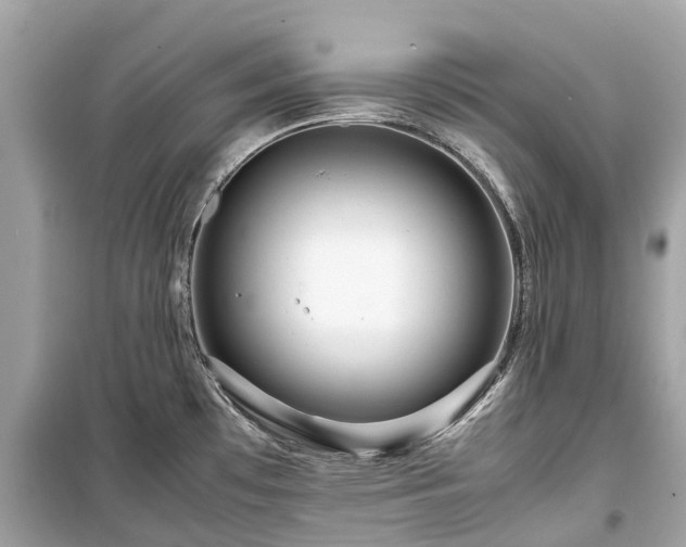 X0000099431481200805161058