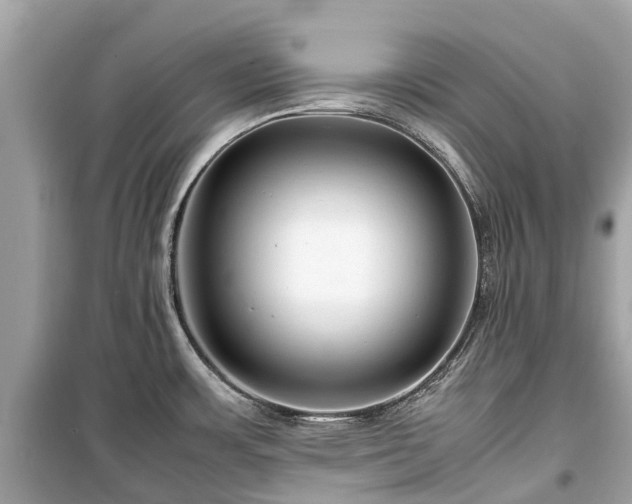 X0000099431483200805161058