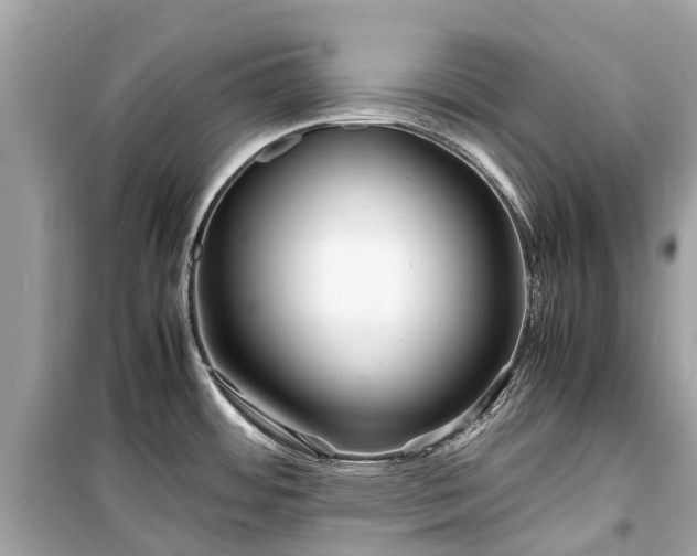 X0000099431484200805161058