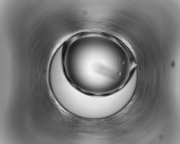 X0000099431485200805161058