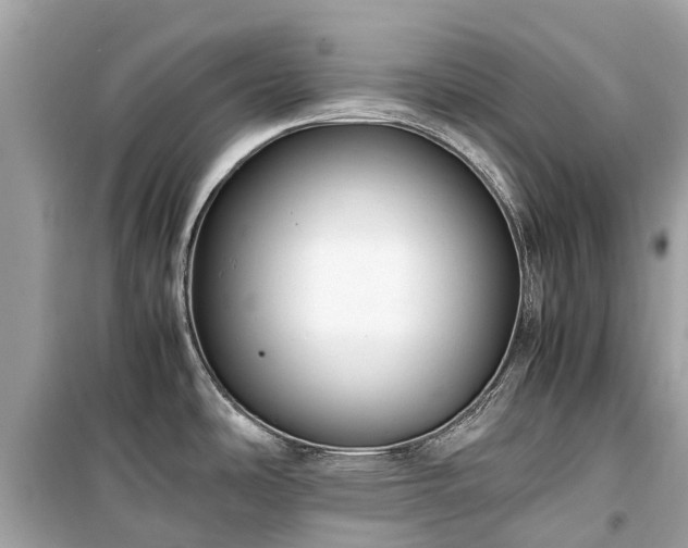 X0000099431486200805161058
