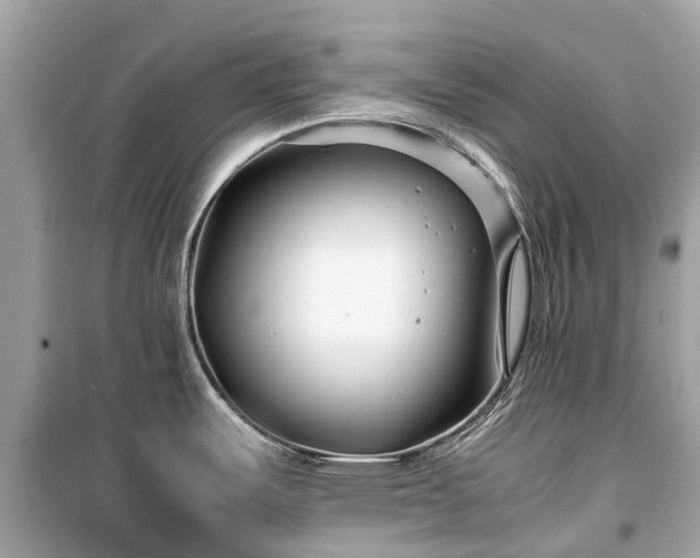 X0000099431487200805161058
