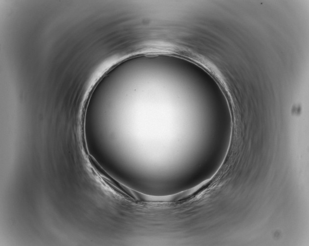 X0000099431488200805161058