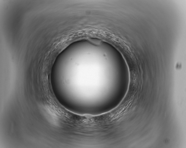 X0000099431489200805161057