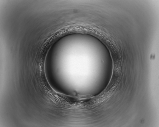X0000099431490200805161057