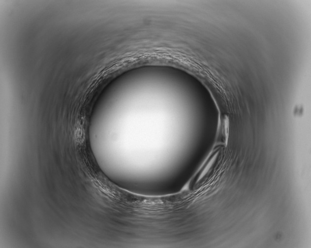 X0000099431491200805161057