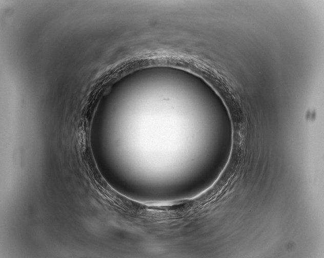 X0000099431493200805161057