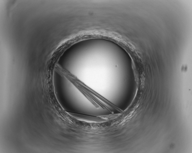 X0000099431494200805161057