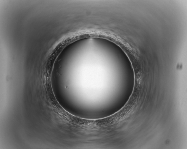X0000099431495200805161057
