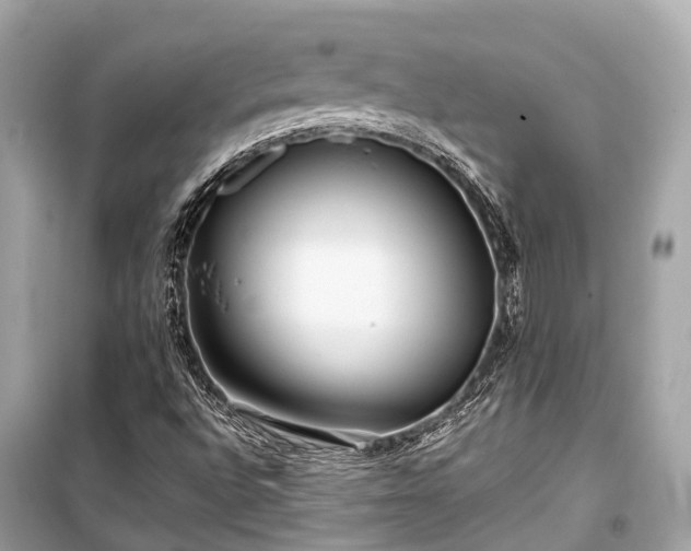 X0000099431496200805161057