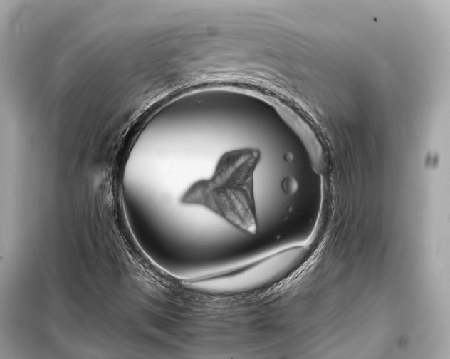 X0000099431497200805161057