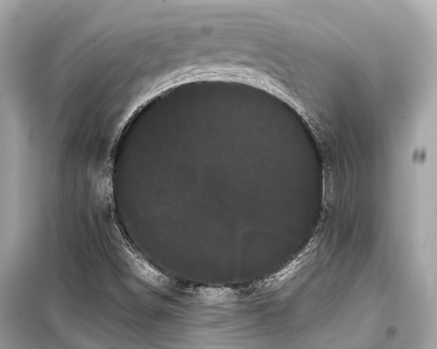 X0000099431498200805161057