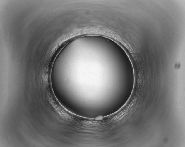 X0000099431499200805161057