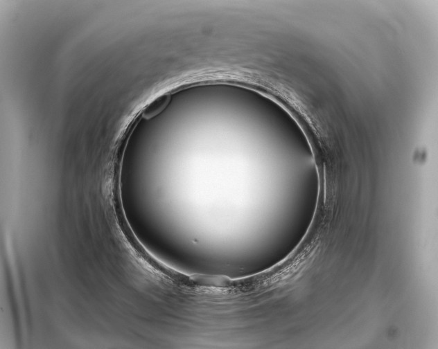 X0000099431500200805161057