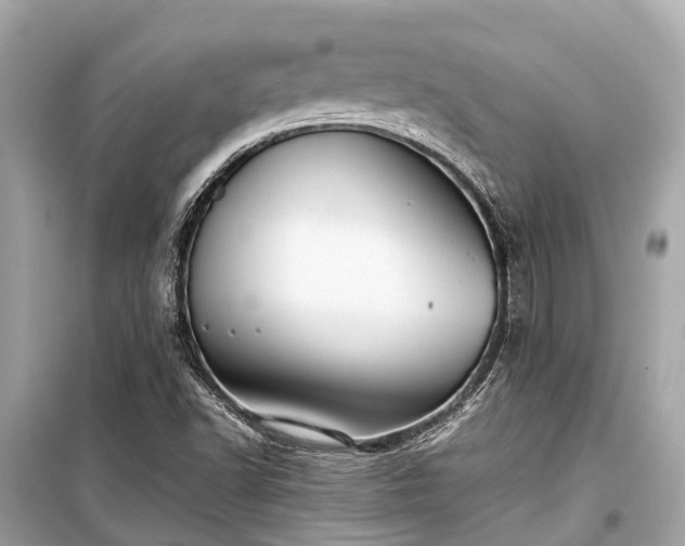 X0000099431502200805161057