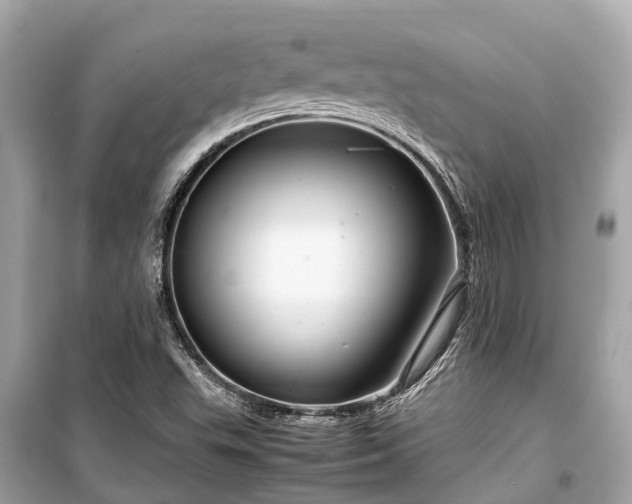 X0000099431503200805161057