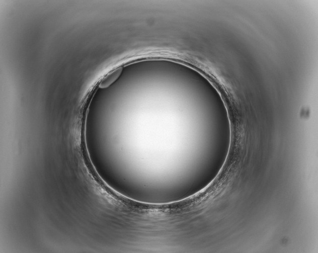 X0000099431504200805161057