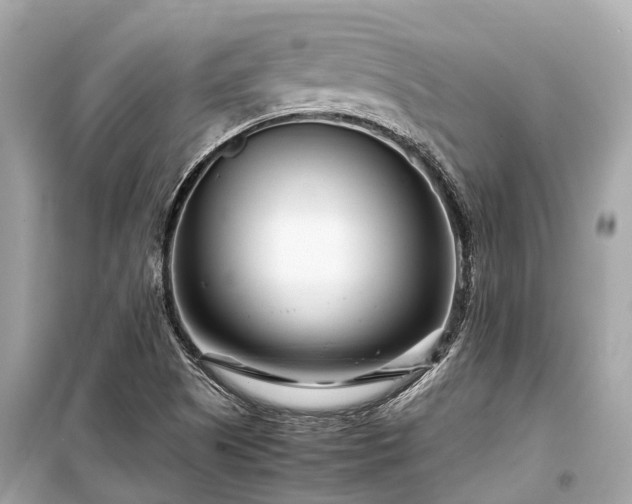 X0000099431505200805161057
