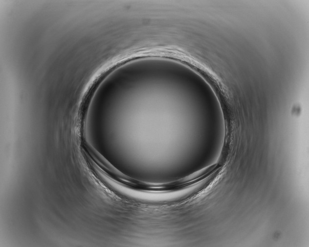 X0000099431506200805161057