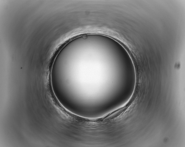 X0000099431507200805161057