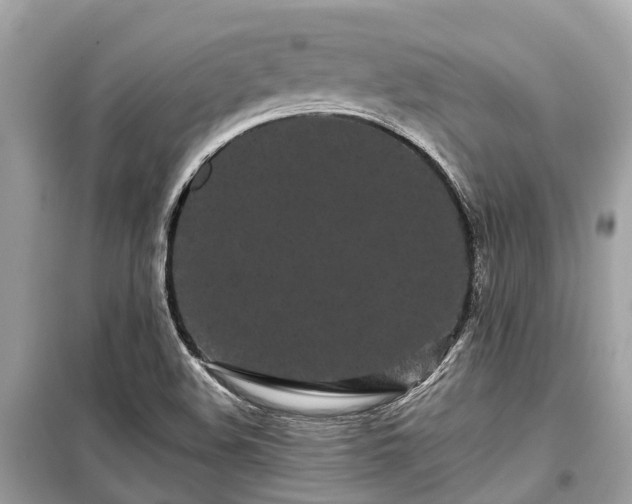 X0000099431508200805161057