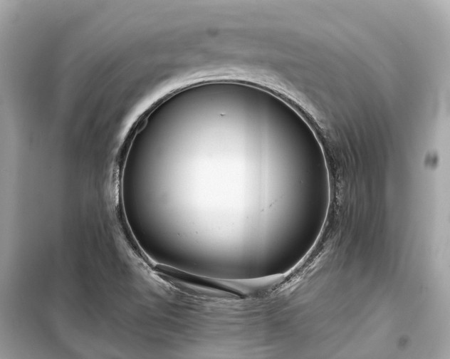 X0000099431510200805161057