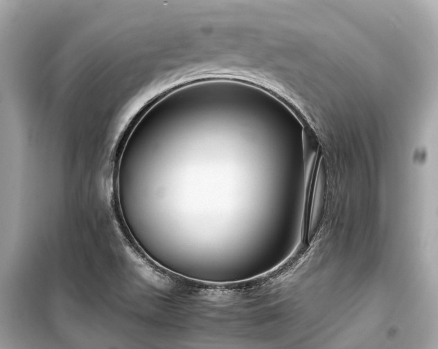 X0000099431511200805161057