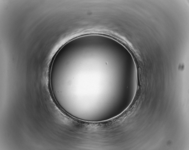X0000099431512200805161057
