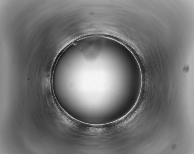 X0000099431513200805161057