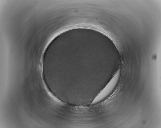 X0000099431515200805161057