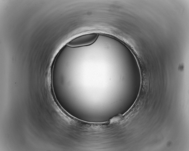 X0000099431516200805161057