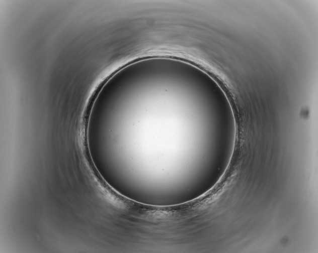 X0000099431517200805161057