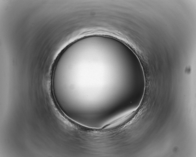 X0000099431518200805161057
