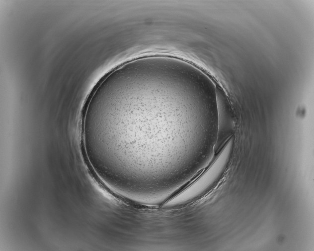 X0000099431519200805161057