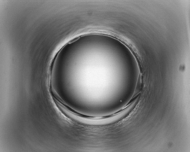 X0000099431520200805161057