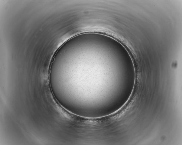 X0000099431521200805161058