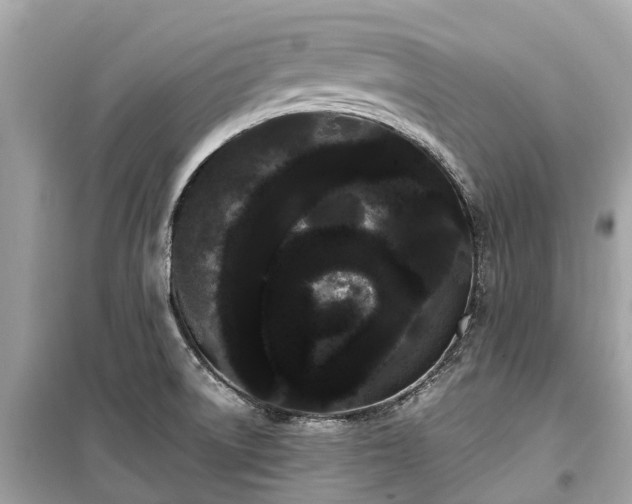 X0000099431522200805161058