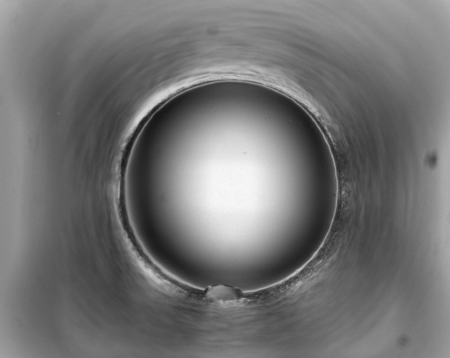 X0000099431523200805161058
