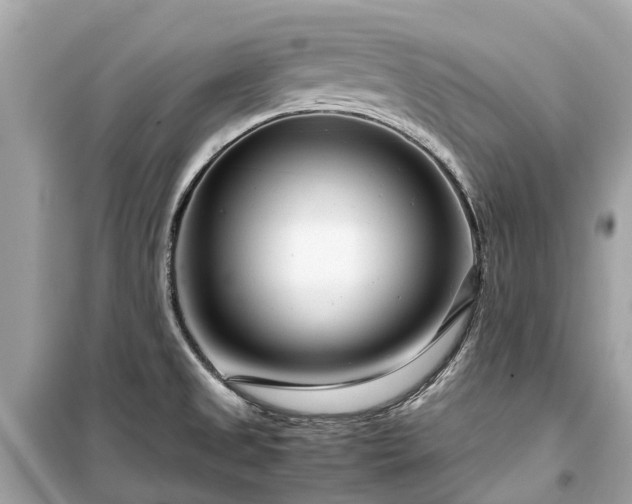 X0000099431525200805161058