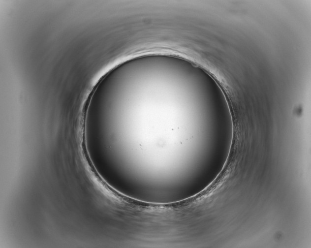 X0000099431526200805161058