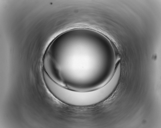 X0000099431527200805161058