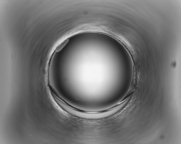 X0000099431528200805161058