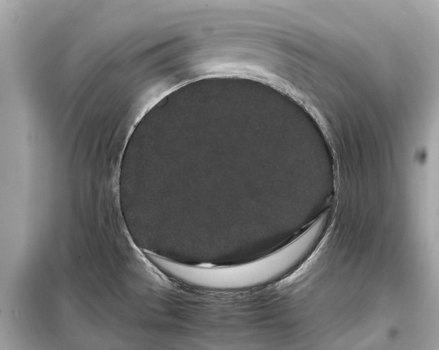 X0000099431529200805161058