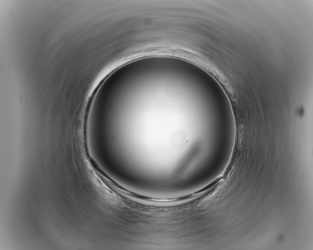 X0000099431530200805161058