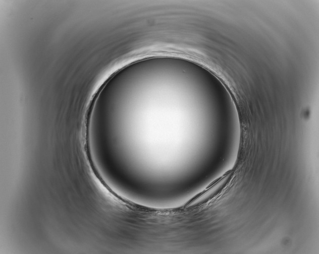 X0000099431531200805161058