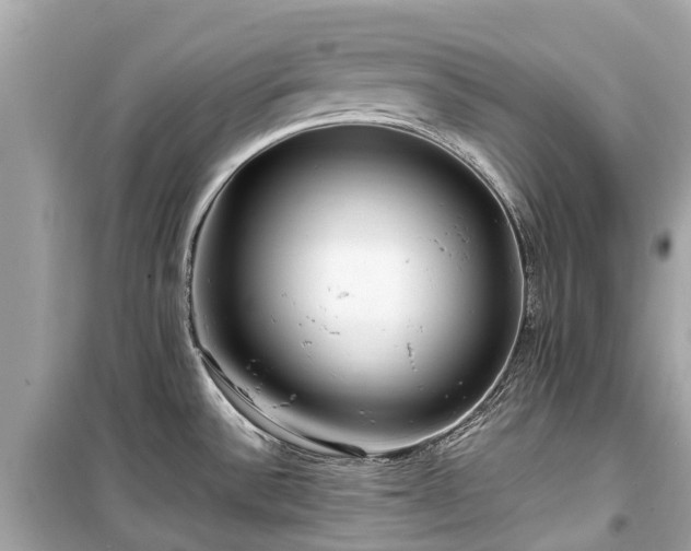 X0000099431532200805161058