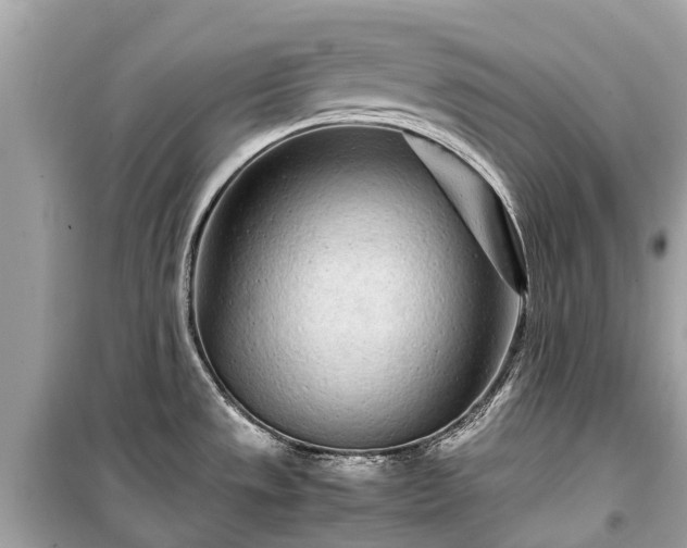X0000099431533200805161058
