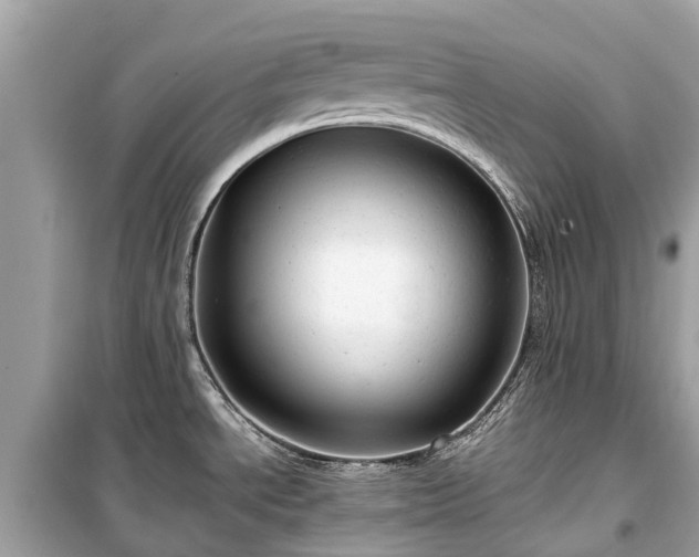 X0000099431534200805161058